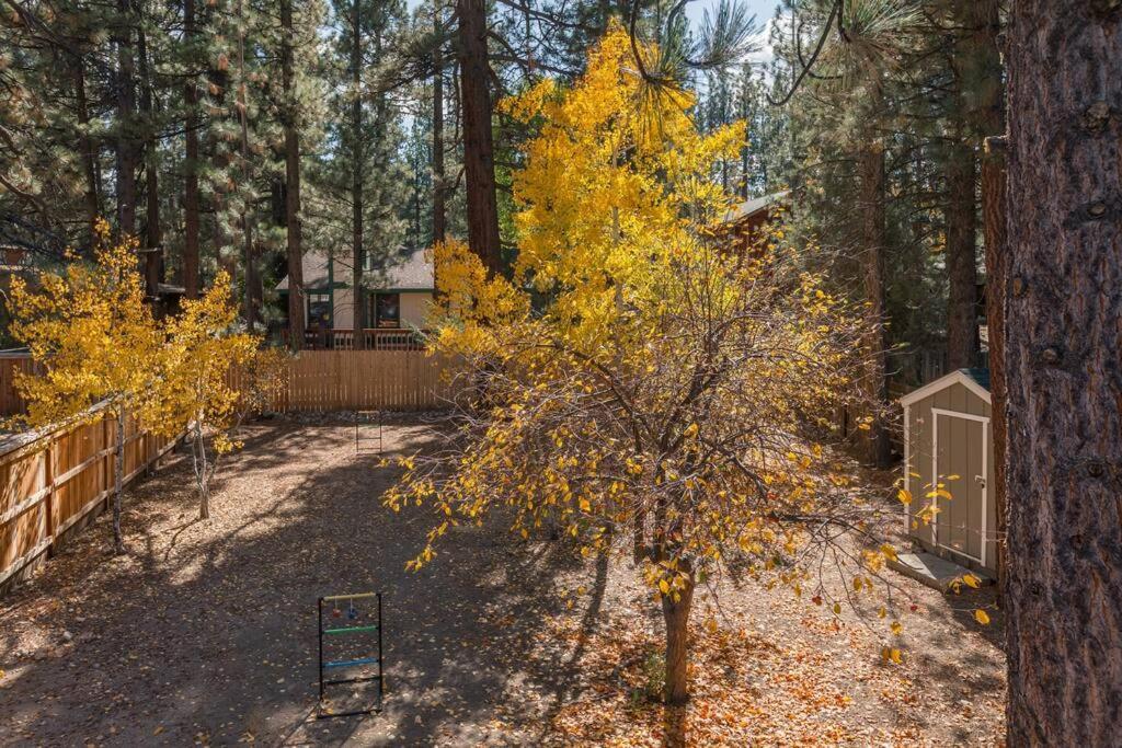 Cozy Cabin I King Bed I Fireplace I Hot Tub I Fenced Yard I Bbq Big Bear City Eksteriør billede